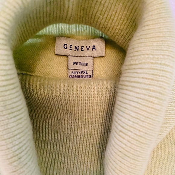 Geneva Cashmere Turtleneck - Picture 4 of 6